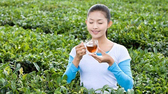 Uống trà đúng cách ngăn ngừa tim mạch ung thư