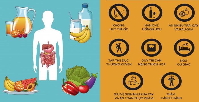 Giải Pháp Tự Nhiên Giúp Tăng Cường Hệ Miễn Dịch và Phòng Ngừa Bệnh Tật