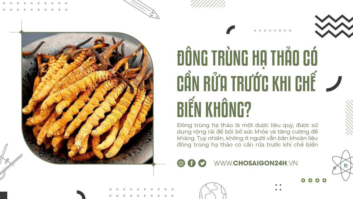 Đông Trùng Hạ Thảo Có Cần Rửa Trước Khi Chế Biến Không?