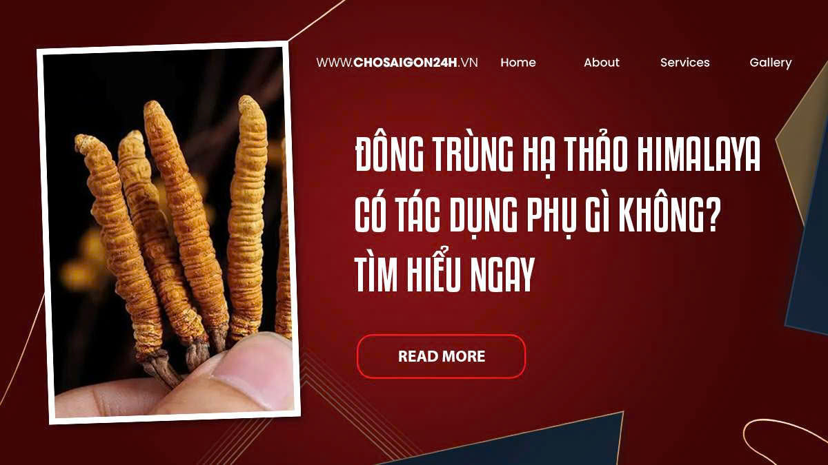 Đông Trùng Hạ Thảo Himalaya Có Tác Dụng Phụ Gì Không? Tìm Hiểu Ngay