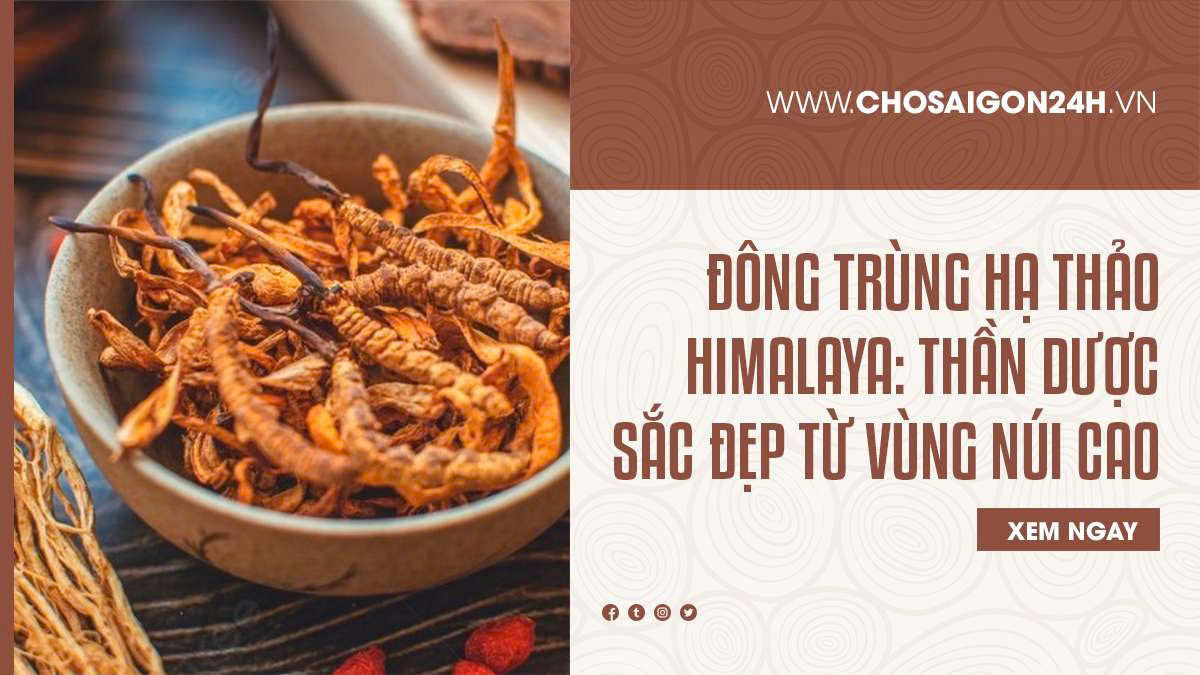 Đông Trùng Hạ Thảo Himalaya: Thần Dược Sắc Đẹp Từ Vùng Núi Cao