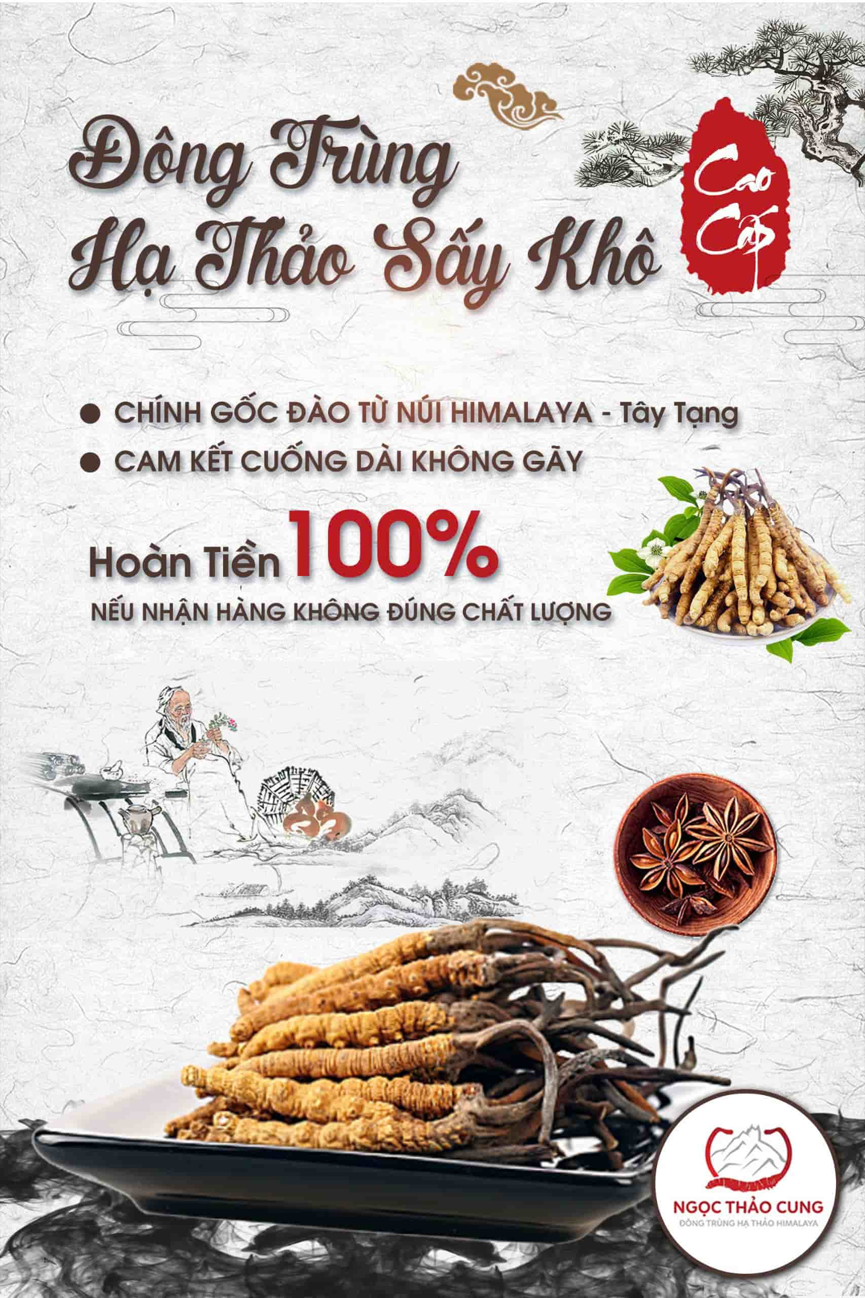 Đông Trùng Hạ Thảo Sấy Khô Nguyên Con Chính Gốc Từ HIMALAYA Thượng Hạng Cao Cấp Tphcm