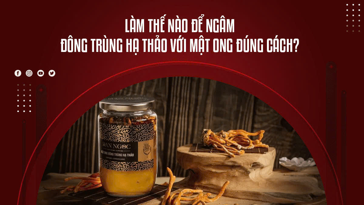 Làm Thế Nào Để Ngâm Đông Trùng Hạ Thảo Với Mật Ong Đúng Cách?