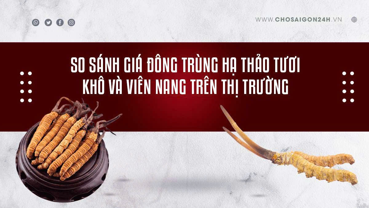 So Sánh Giá Đông Trùng Hạ Thảo Tươi, Khô và Viên Nang Trên Thị Trường