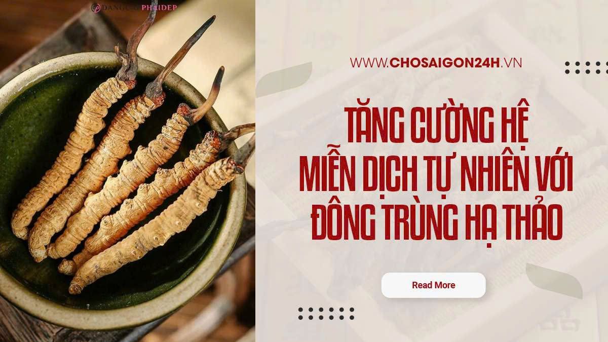 Tăng Cường Hệ Miễn Dịch Tự Nhiên Với Đông Trùng Hạ Thảo