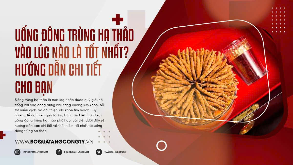 Uống đông trùng hạ thảo vào lúc nào là tốt nhất?