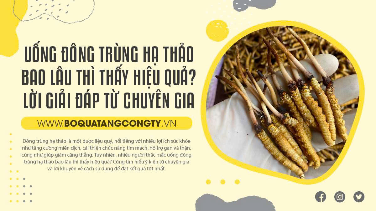 Uống đông trùng hạ thảo vào lúc nào là tốt nhất?