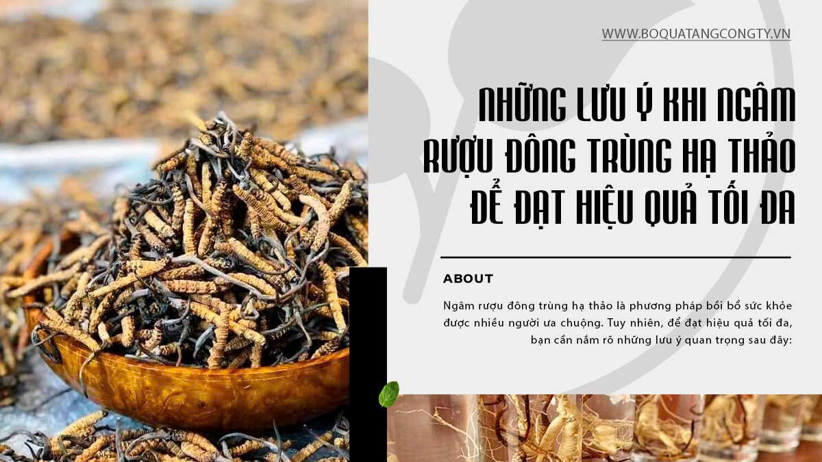 Những Lưu Ý Khi Ngâm Rượu Đông Trùng Hạ Thảo Để Đạt Hiệu Quả Tối Đa