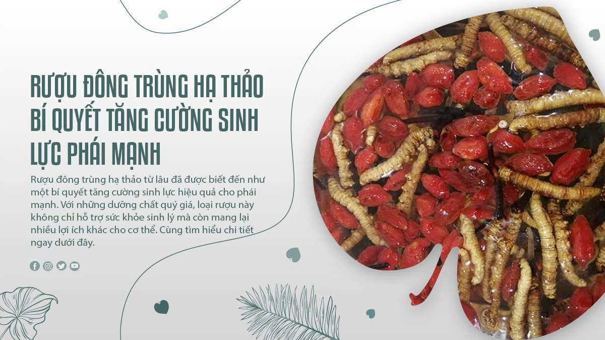 Rượu Đông Trùng Hạ Thảo – Bí Quyết Tăng Cường Sinh Lực Phái Mạnh