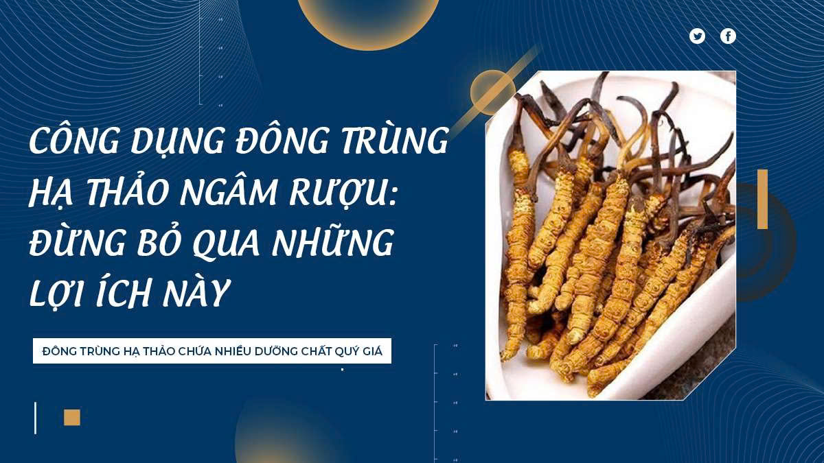 Công Dụng Đông Trùng Hạ Thảo Ngâm Rượu: Đừng Bỏ Qua Những Lợi Ích Này