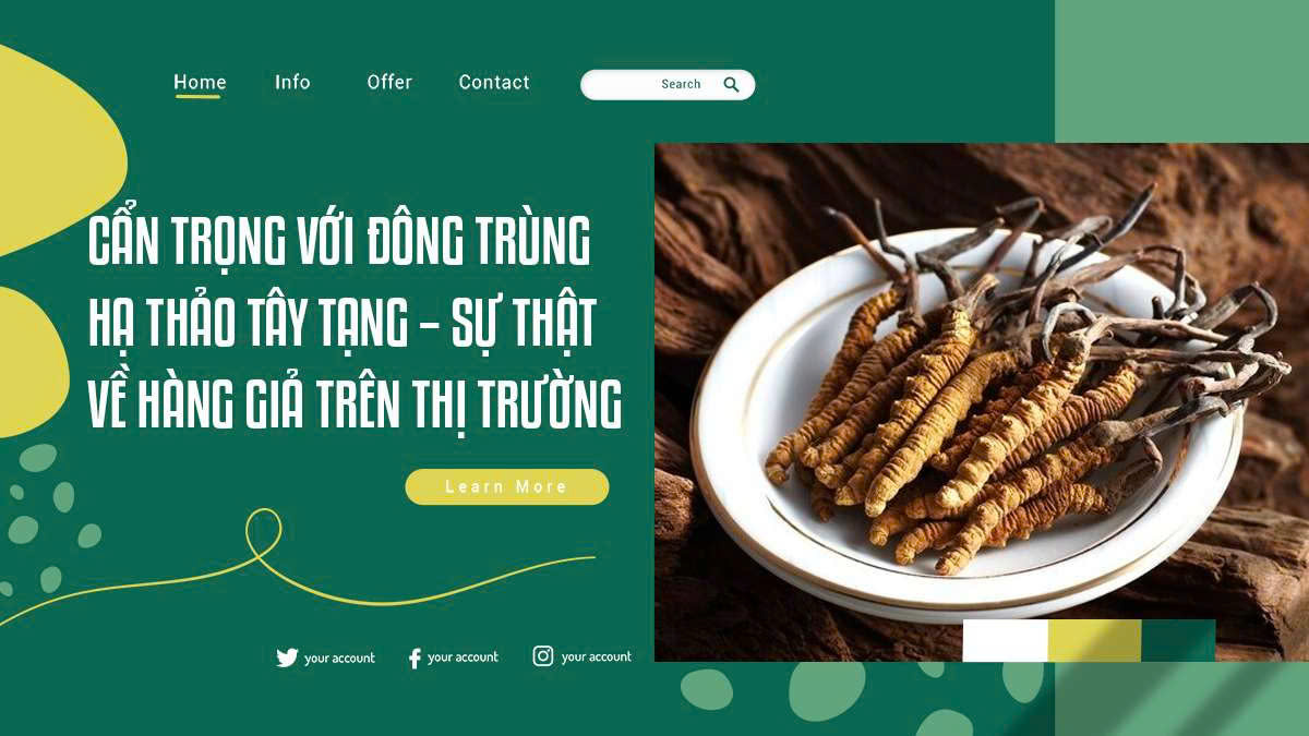 Cẩn Trọng Với Đông Trùng Hạ Thảo Tây Tạng – Sự Thật Về Hàng Giả Trên Thị Trường