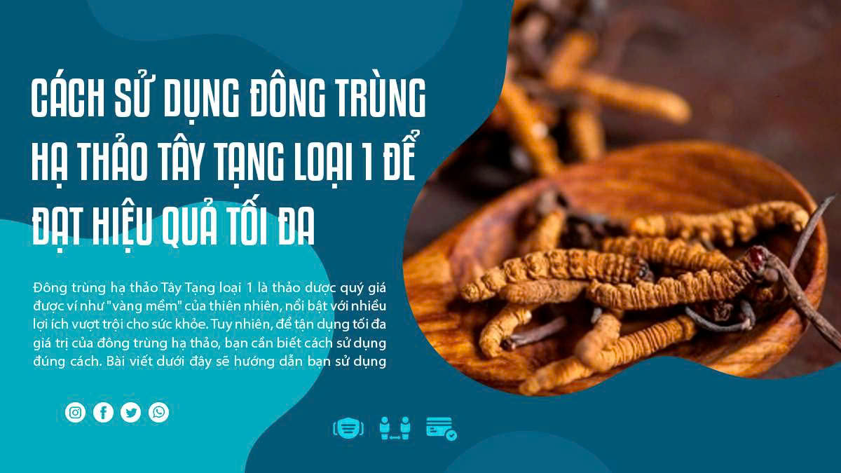 Cách Sử Dụng Đông Trùng Hạ Thảo Tây Tạng Loại 1 Để Đạt Hiệu Quả Tối Đa