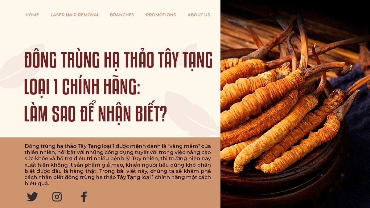 Đông Trùng Hạ Thảo Tây Tạng Loại 1 Chính Hãng: Làm Sao Để Nhận Biết?