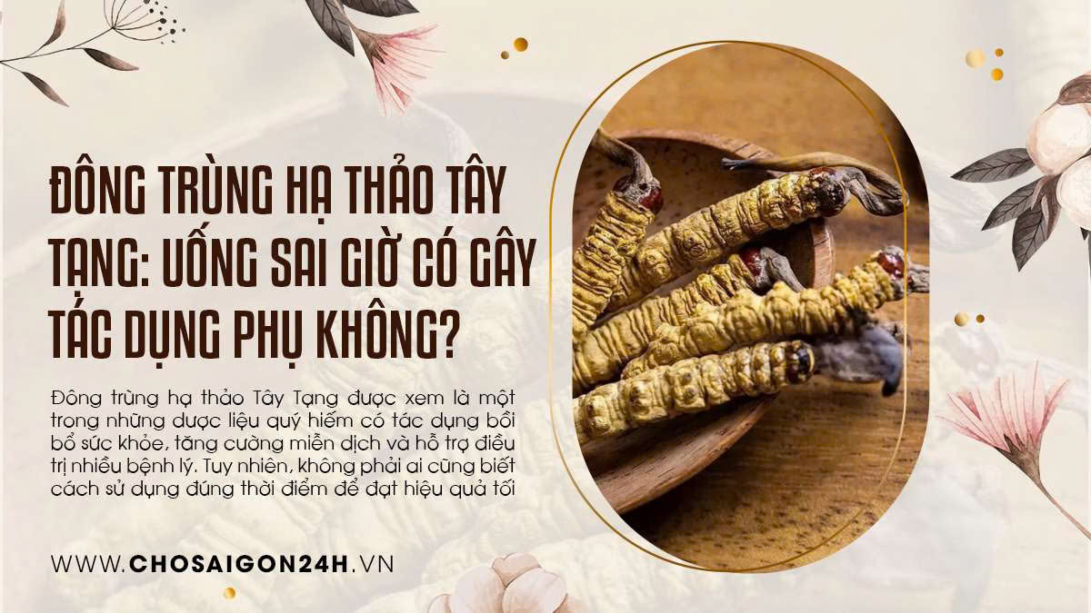Đông Trùng Hạ Thảo Tây Tạng: Uống Sai Giờ Có Gây Tác Dụng Phụ Không?