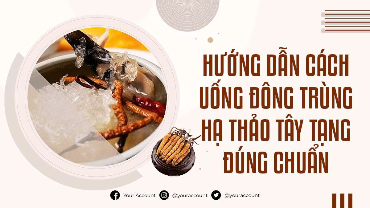 Hướng Dẫn Cách Uống Đông Trùng Hạ Thảo Tây Tạng Đúng Chuẩn