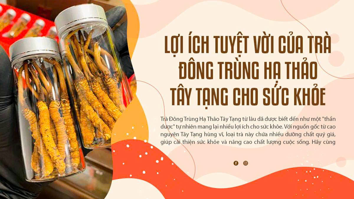 Lợi Ích Tuyệt Vời Của Trà Đông Trùng Hạ Thảo Tây Tạng Cho Sức Khỏe