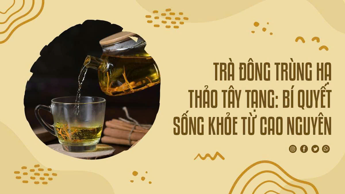 Trà Đông Trùng Hạ Thảo Tây Tạng: Bí Quyết Sống Khỏe Từ Cao Nguyên