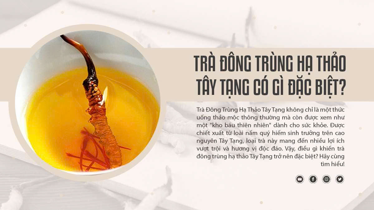 Trà Đông Trùng Hạ Thảo Tây Tạng Có Gì Đặc Biệt?