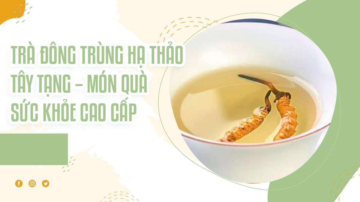 Trà Đông Trùng Hạ Thảo Tây Tạng – Món Quà Sức Khỏe Cao Cấp