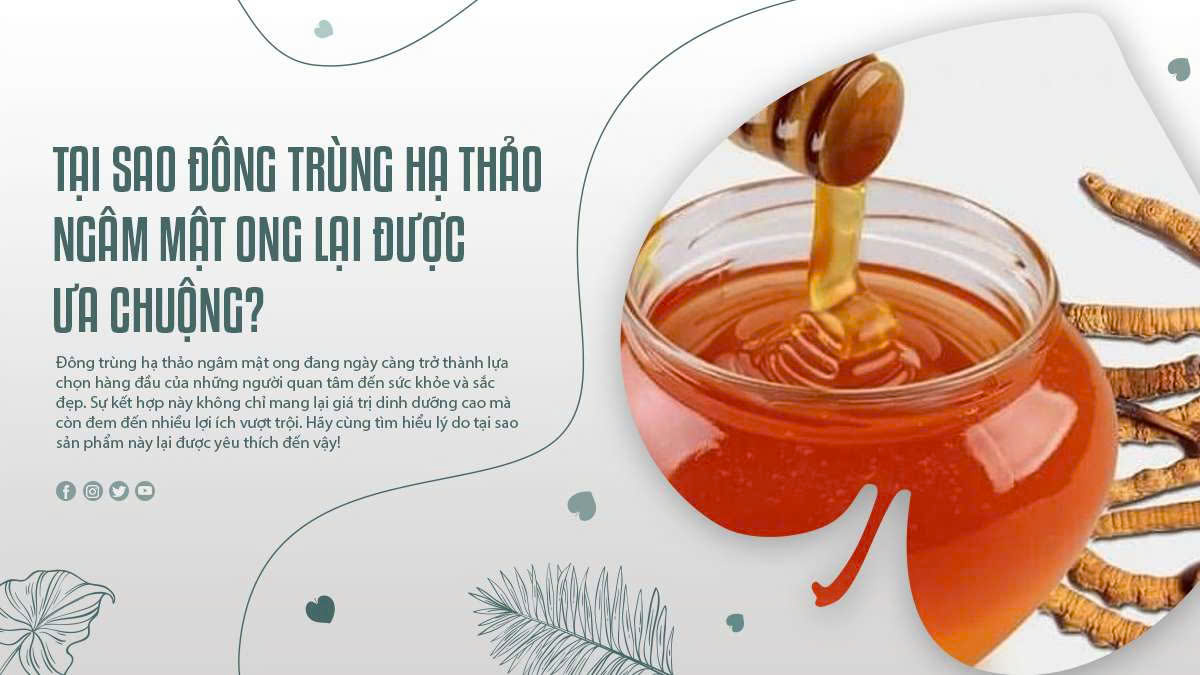 Tại Sao Đông Trùng Hạ Thảo Ngâm Mật Ong Lại Được Ưa Chuộng?