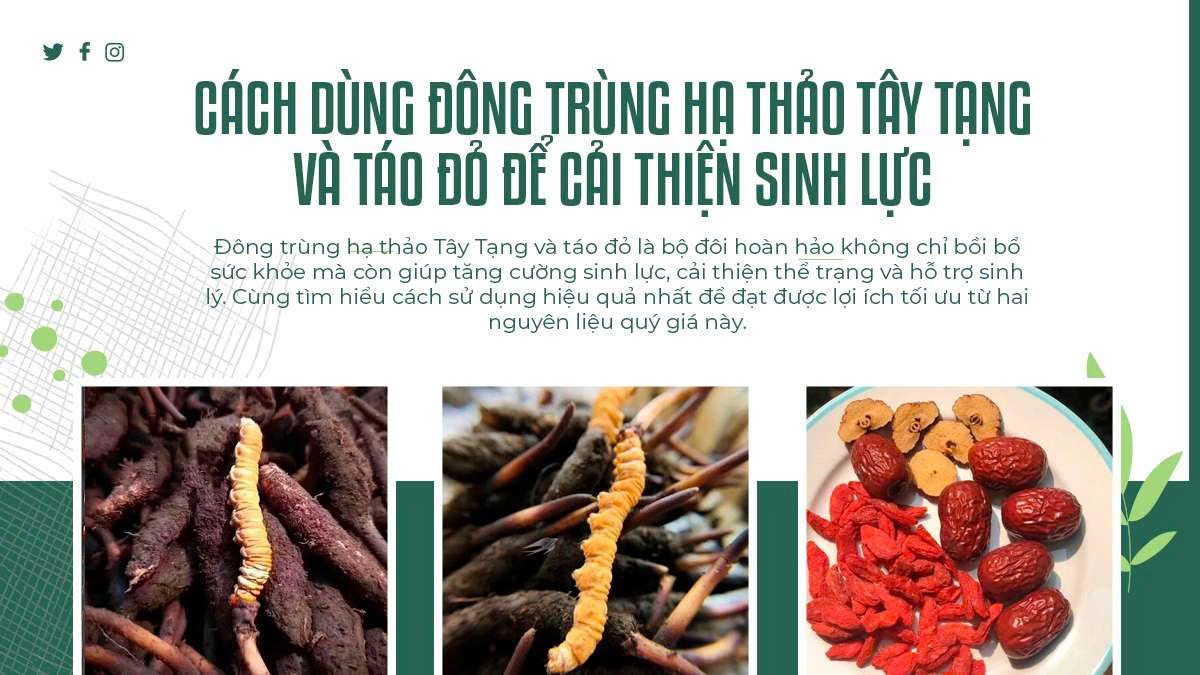 Cách Dùng Đông Trùng Hạ Thảo Tây Tạng và Táo Đỏ Để Cải Thiện Sinh Lực