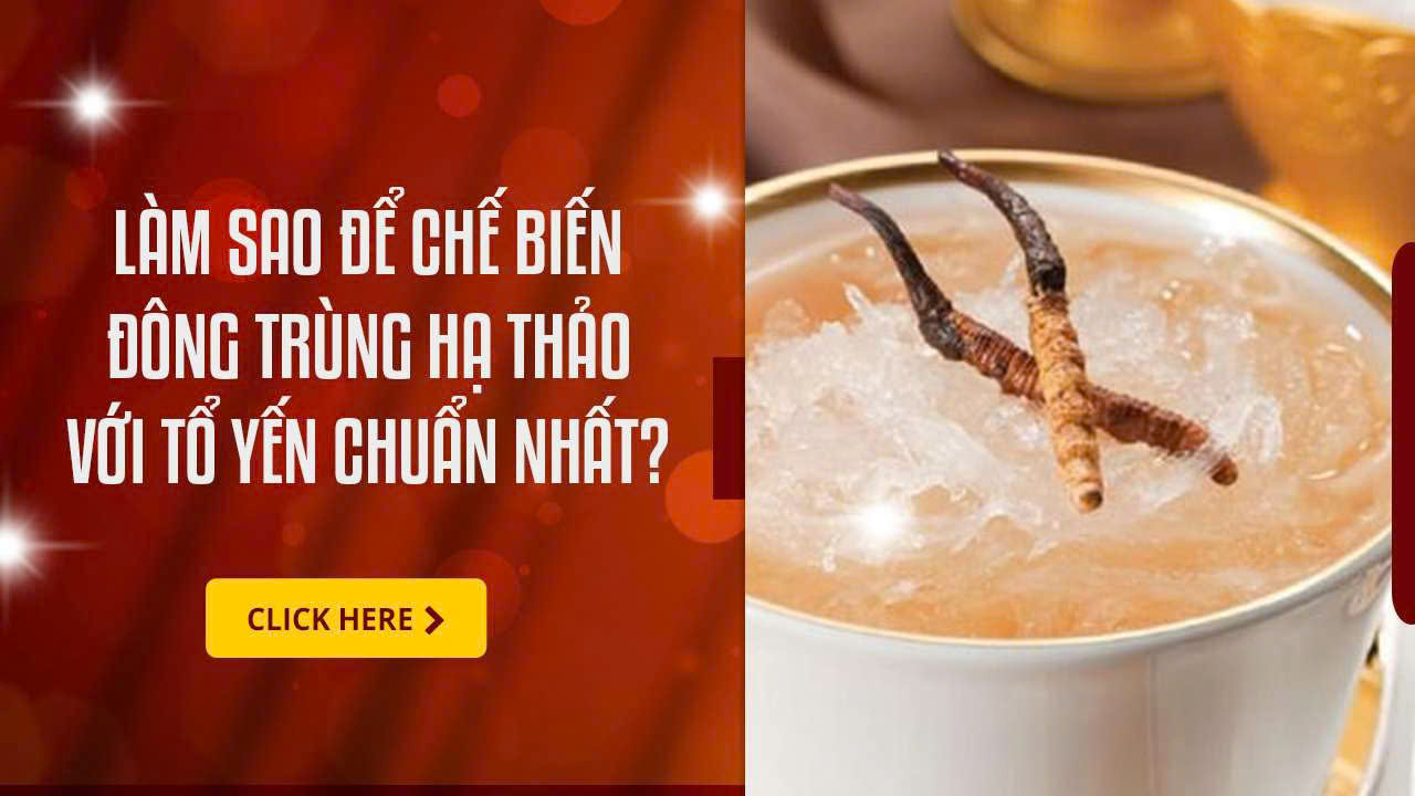 Làm Sao Để Chế Biến Đông Trùng Hạ Thảo Với Tổ Yến Chuẩn Nhất?
