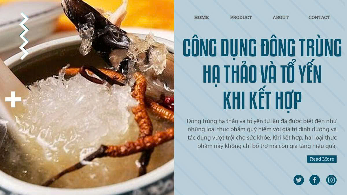 Công Dụng Đông Trùng Hạ Thảo Và Tổ Yến Khi Kết Hợp