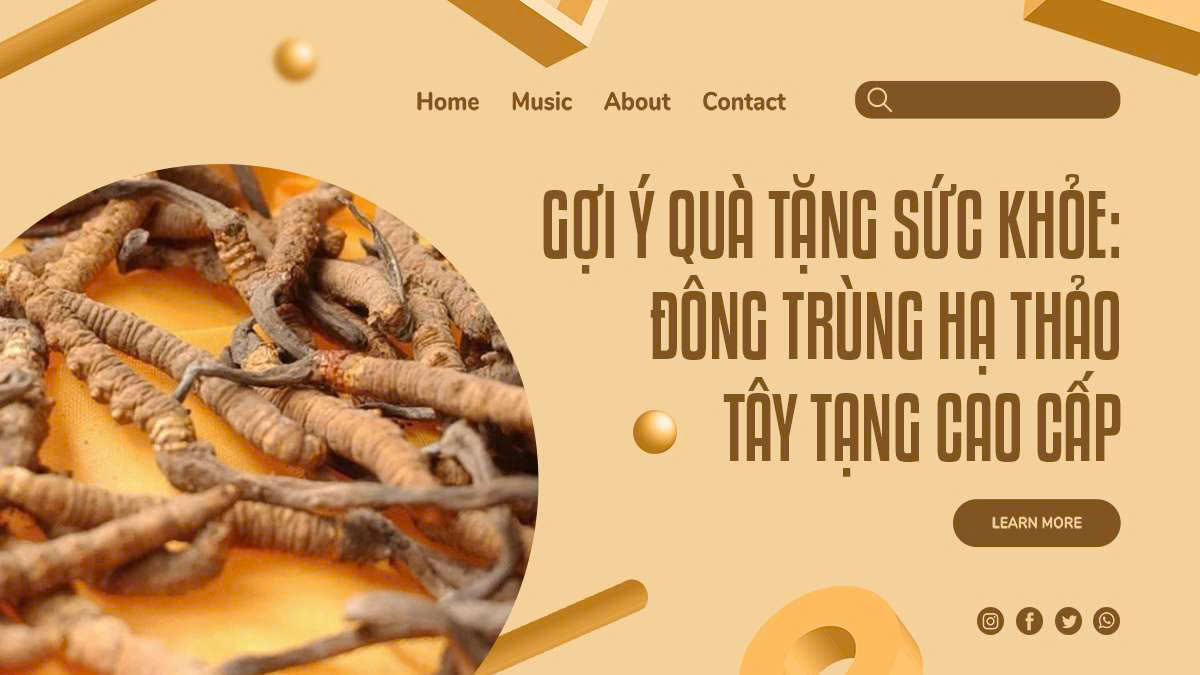 GỢI Ý QUÀ TẶNG SỨC KHỎE: ĐÔNG TRÙNG HẠ THẢO TÂY TẠNG CAO CẤP