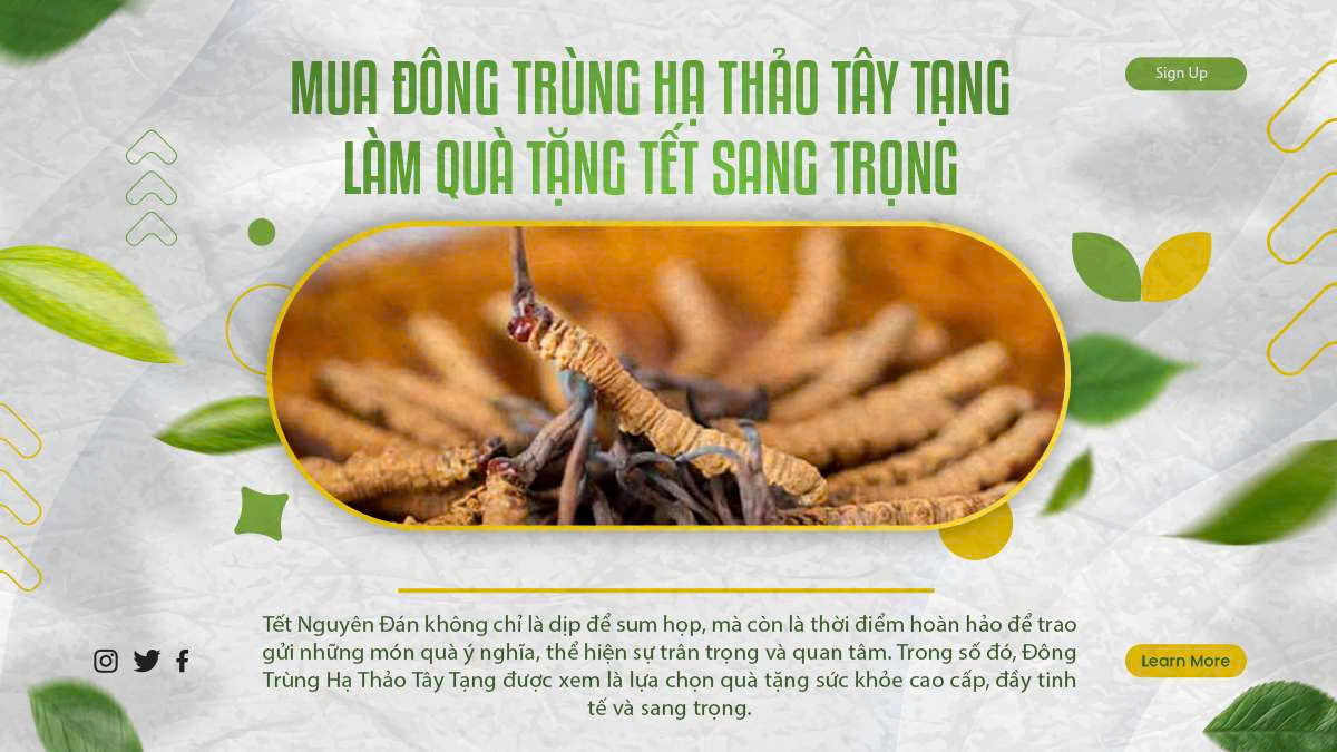 MUA ĐÔNG TRÙNG HẠ THẢO TÂY TẠNG LÀM QUÀ TẶNG TẾT SANG TRỌNG