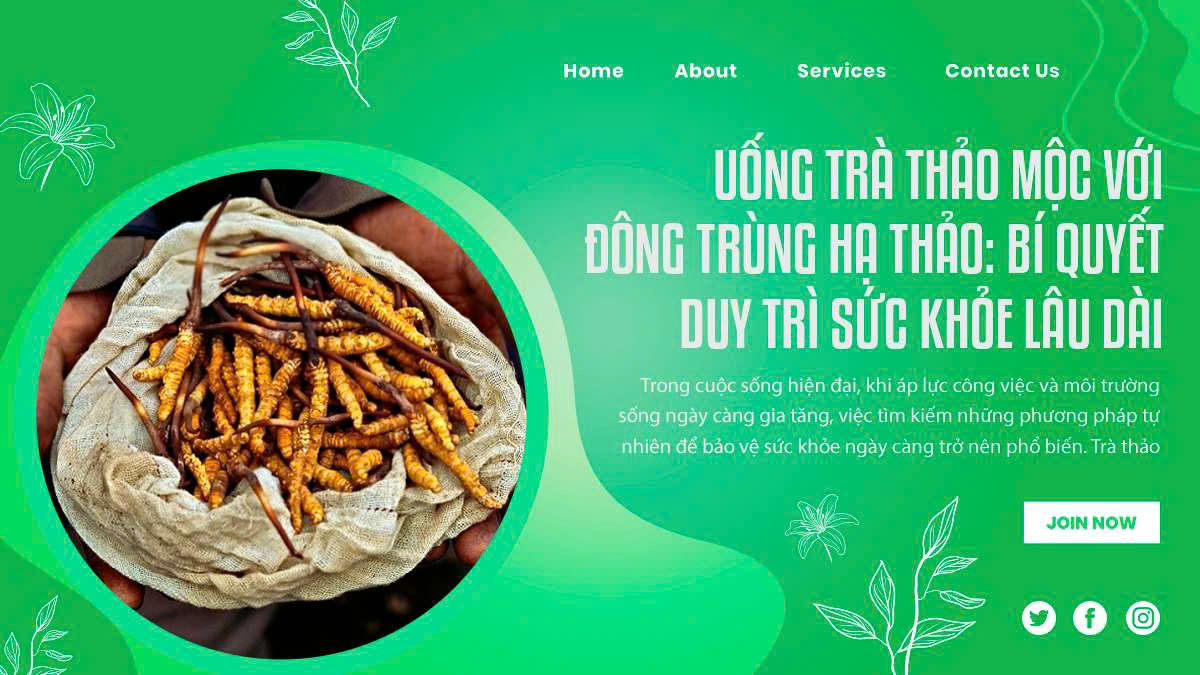 Uống Trà Thảo Mộc Với Đông Trùng Hạ Thảo: Bí Quyết Duy Trì Sức Khỏe Lâu Dài