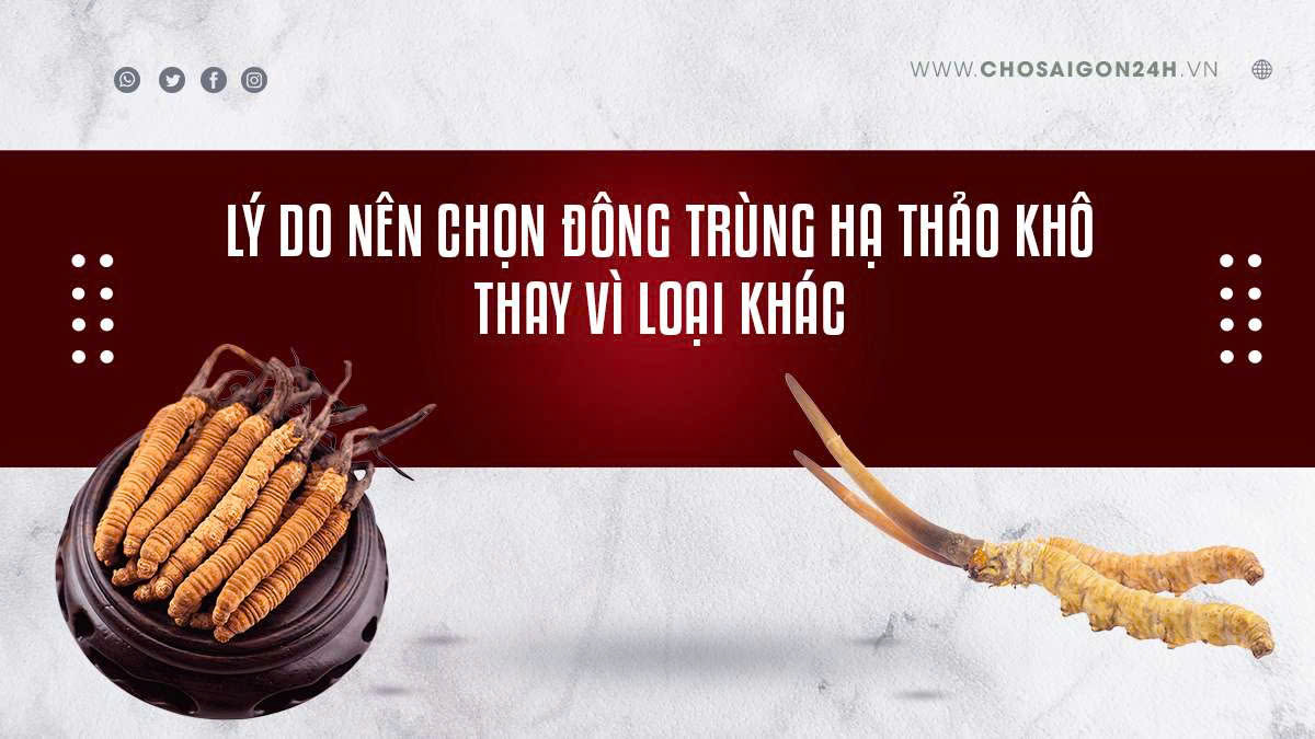Lý Do Nên Chọn Đông Trùng Hạ Thảo Khô Thay Vì Loại Khác
