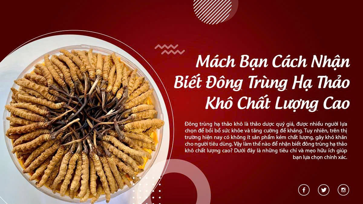 Mách Bạn Cách Nhận Biết Đông Trùng Hạ Thảo Khô Chất Lượng Cao