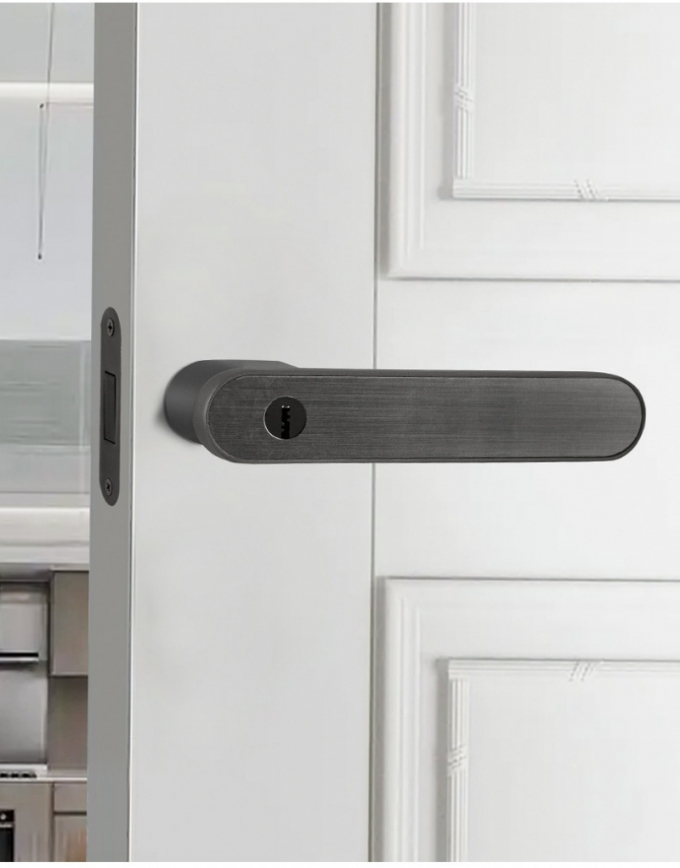Khóa Cửa Tay Gạt Bo Tròn Đen Trắng Tối Giản 154