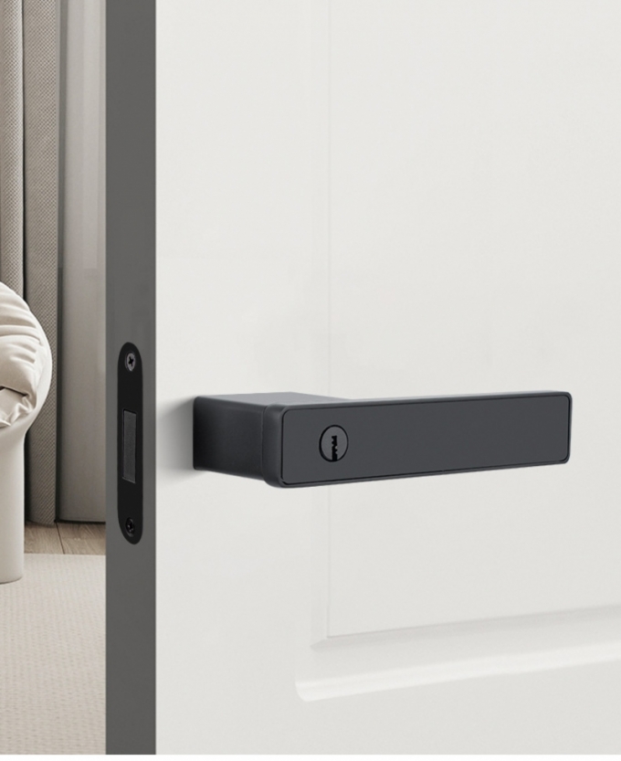 Khóa Cửa Tay Gạt Đen Trắng Tối Giản 153