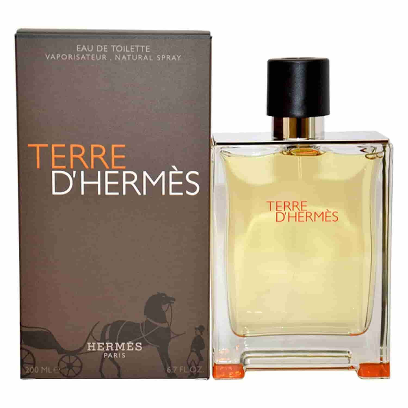 Nước Hoa Hermes Terre Dhermes Edt 100ml 1256