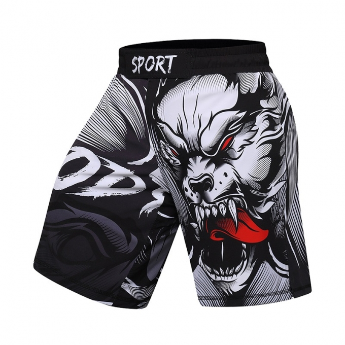 Quần ngắn tập Rashguard BJJ MMA cao cấp 050