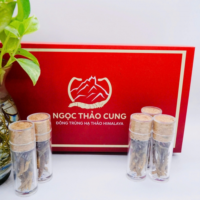 Set 10 Con Đông Trùng Hạ Thảo (Loại Nhỏ 10gr ~ 50 con)