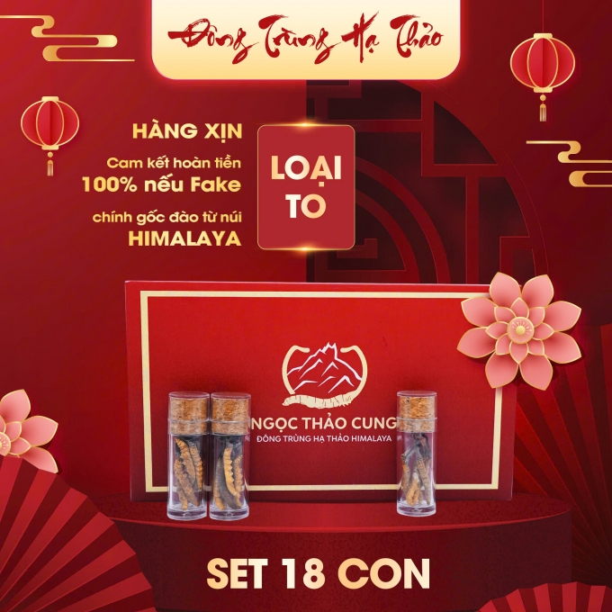 Set Đông Trùng Hạ Thảo 18 Con (Loại To 10gr~30 con)