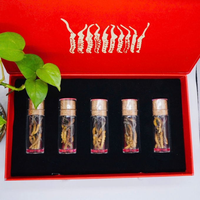 Set 2 Con Đông Trùng Hạ Thảo (Loại Nhỏ 10gr ~ 50 con)