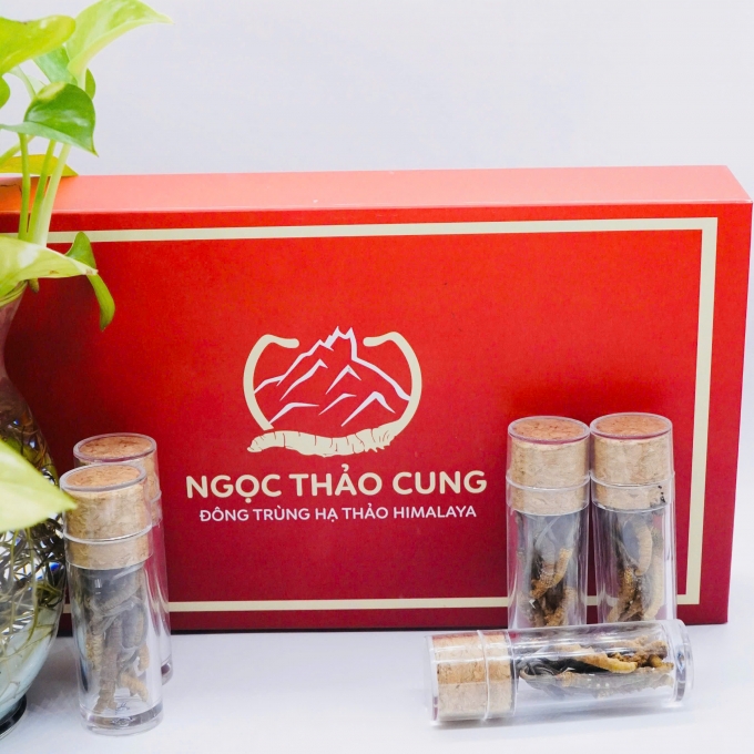 Set 2 Con Đông Trùng Hạ Thảo (Loại Nhỏ 10gr ~ 50 con)