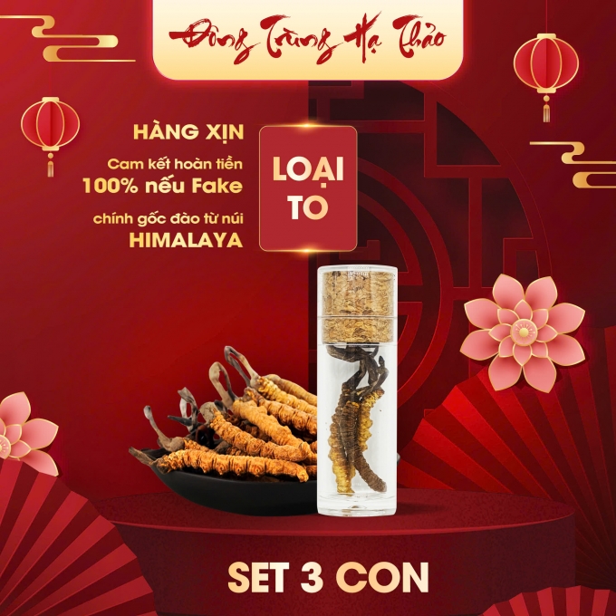 Set Đông Trùng Hạ Thảo 3 Con (Loại To 10gr ~ 30 con)