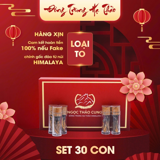 Set Đông Trùng Hạ Thảo 30 Con (Loại To 10gr ~ 30 con)