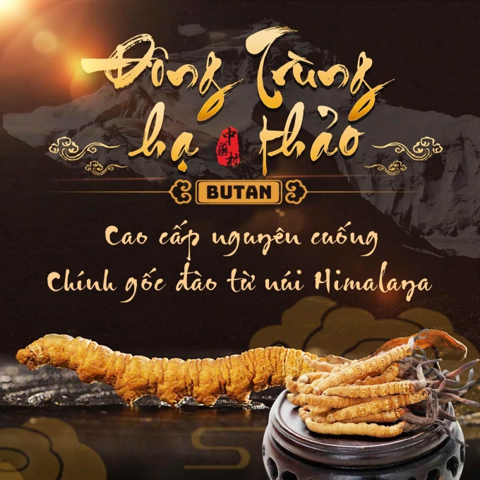 Set Đông Trùng Hạ Thảo 10 Con