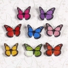 070 Phụ kiện chụp ảnh sản phẩm con bướm 3D