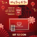 Set Đông Trùng Hạ Thảo 12 Con (Loại To 10gr ~ 30 con)