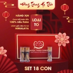 Set Đông Trùng Hạ Thảo 18 Con (Loại To 10gr~30 con)