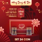 Set Đông Trùng Hạ Thảo 24 Con (Loại To 10gr ~ 30 con)