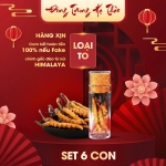 Set Đông Trùng Hạ Thảo 6 Con (Loại To 10gr ~ 30 con)