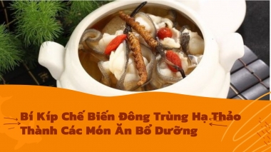 Bí Kíp Chế Biến Đông Trùng Hạ Thảo Thành Các Món Ăn Bổ Dưỡng