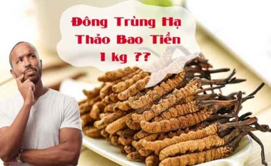 Đông Trùng Hạ Thảo Giá Bao Nhiêu? Các Yếu Tố Ảnh Hưởng Đến Giá